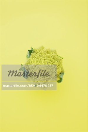 Romanesco Broccoli on yellow background