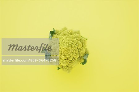 Romanesco Broccoli on yellow background