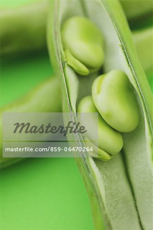 Broad beans on green background