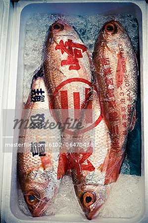 A fish market, close-up, Japan.