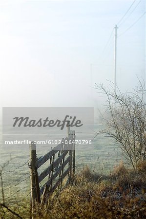 A gate in a hazy landscape, Sweden.
