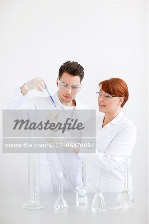 Two scientists working in laboratory