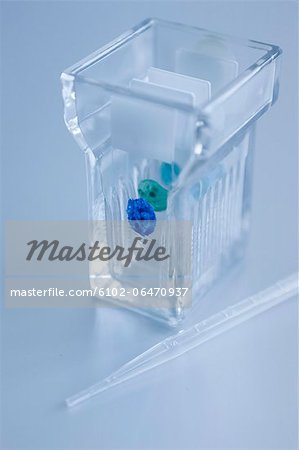 Sample slide and pipette, studio shot