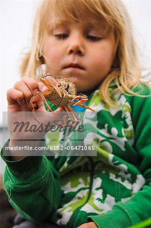 Boy holding crab