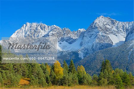 Trees in Autumn with Karwendel Mountain Range, near Mittenwald, Werdenfelser Land, Upper Bavaria, Bavaria, Germany