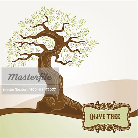 Olive tree vector for label, menu, stationary, printed materials, background, packaging