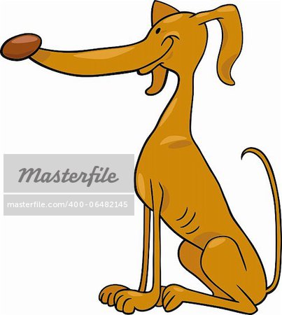 Cartoon Illustration of Funny Greyhound Dog Pet