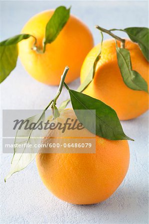 Close-up of Three Oranges with Stems and Leaves on Blue Background, Studio Shot