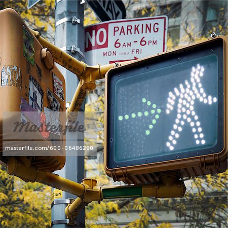 Close-up of Pedestrian Walk Signal, New York City, New York, USA