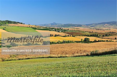 Farmland and Hills in Countryside in Summer, Pienza, Val d'Orcia, Province of Siena, Tuscany, Italy