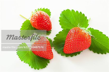 Strawberries and green leaves