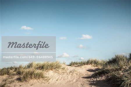 Grassy sand dunes under blue sky