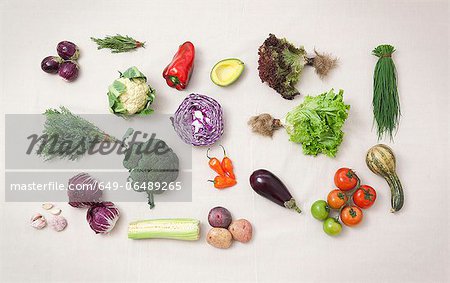 Vegetables arranged on counter