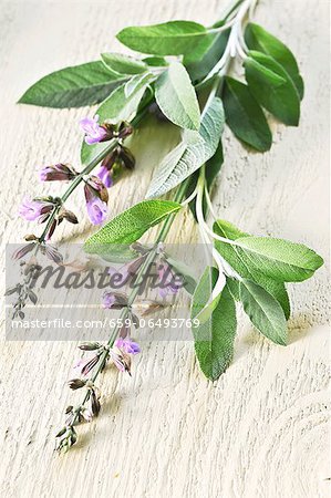 Sage with flowers