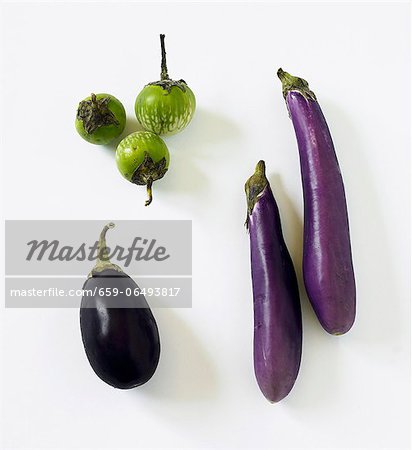 Three Assorted Eggplants; Thai Eggplant, Chinese Eggplant, Italian Eggplant Three Assorted Eggplants; Thai Eggplant, Chinese Eggplant, Italian Eggplant