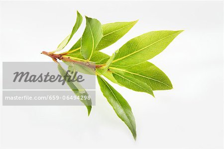 Bay leaves