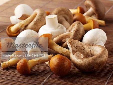 Button mushrooms and oriental mushrooms