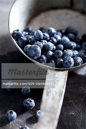 Blueberries in a pot