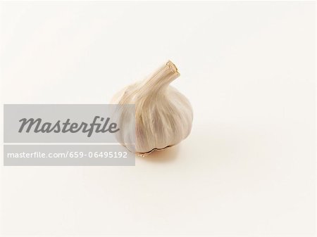 A garlic bulb