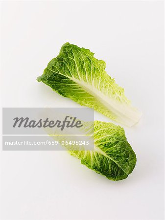 Two cos lettuce leaves Two cos lettuce leaves