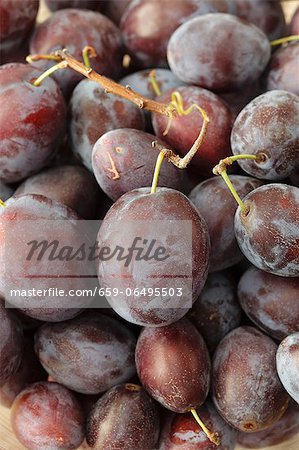 Organic plums Organic plums