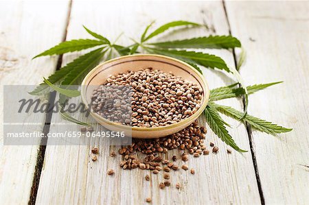 Hemp and hemp leaves