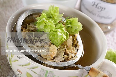 Hops tea with a tea strainer