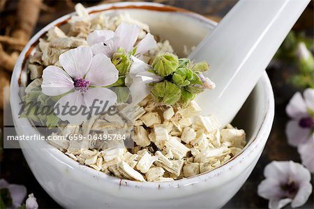 Marsh mallow roots and flowers in a mortar