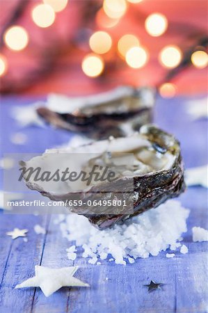 Fresh oysters for Christmas