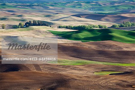 Aerial view of rolling landscape