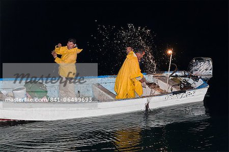 Night time panga squid fishery, Santa Rosalia, Gulf of California (Sea of Cortez), Baja California Sur, Mexico, North America Night time panga squid fishery, Santa Rosalia, Gulf of California (Sea of Cortez), Baja California Sur, Mexico, North America