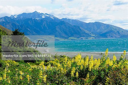 Lake Te Anau, Southland, South Island, New Zealand, Pacific