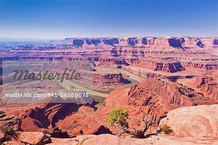 Colorado River Gooseneck Bend, Dead Horse Point State Park Overlook, Utah, United States of America, North America