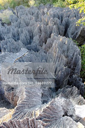 Tsingy de Bemaraha Strict Nature Reserve, UNESCO World Heritage Site, near the western coast in Melaky Region, Madagascar, Africa