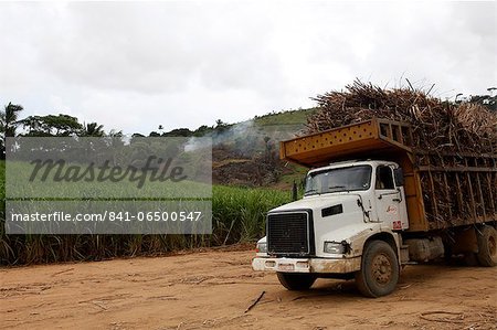 Truck loaded with sugar cane at a field near Porto de Galinhas, Pernambuco, Brazil, South America