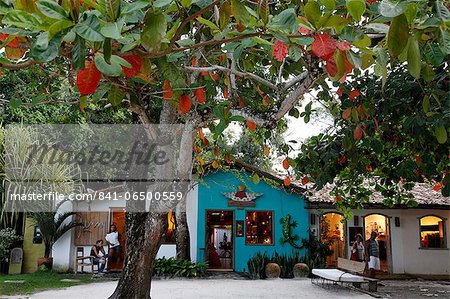 Colorful houses at Quadrado, the main square in Trancoso, Bahia, Brazil, South America