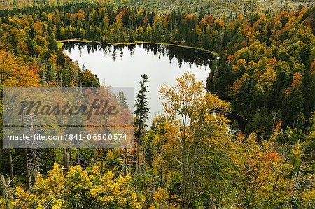 Rachelsee (Rachel Lake), Grosser Rachel, Bavarian Forest National Park, Bavarian Forest, Bavaria, Germany, Europe