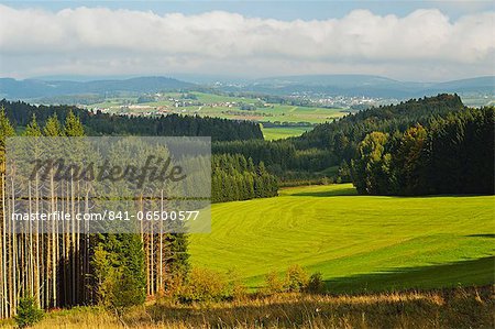 View of forest and Breitenberg in the distance, Bavaria, Germany, Europe