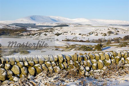 Cairnsmore of Fleet in winter snow, from Knocktinkle Viewpoint, Dumfries and Galloway, Scotland, United Kingdom, Europe
