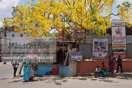 Street scene in Thekkady, Kerala, India, Asia