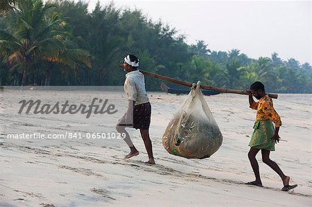 Fishermen carrying their catch up the beach at Marari Beach, Kerala, India, Asia