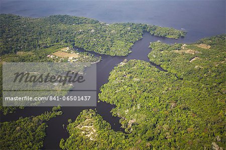 Aerial view of Amazon rainforest and Rio Negro, Manaus, Amazonas, Brazil, South America