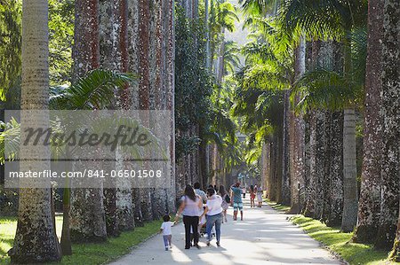 People at Botanical Gardens (Jardim Botanico), Rio de Janeiro, Brazil, South America