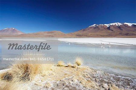 Laguna Adeyonda on Altiplano, Potosi Department, Bolivia, South America Laguna Adeyonda on Altiplano, Potosi Department, Bolivia, South America