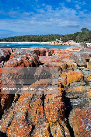 Bay of Fire, voted one of the most beautiful beaches in the world, Tasmania, Australia, Pacific Bay of Fire, voted one of the most beautiful beaches in the world, Tasmania, Australia, Pacific