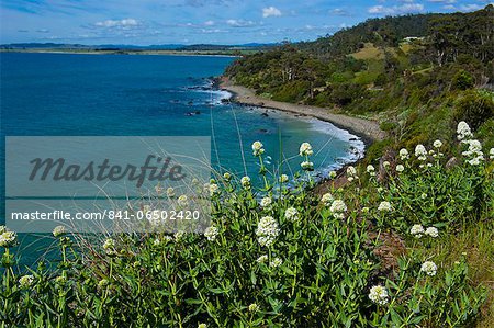 Tasmania, Australia, Pacific