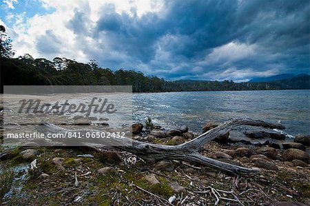 Lake St. Claire, Tasmania, Australia, Pacific Lake St. Claire, Tasmania, Australia, Pacific