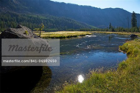Madison River valley near Madison, Yellowstone National Park, UNESCO World Heritage Site, Wyoming, United States of America, North America