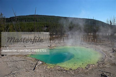 Cistern Spring, Norris Geyser Basin, Yellowstone National Park, UNESCO World Heritage Site, Wyoming, United States of America, North America Cistern Spring, Norris Geyser Basin, Yellowstone National Park, UNESCO World Heritage Site, Wyoming, United States of America, North America