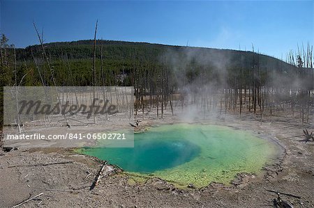 Cistern Spring, Norris Geyser Basin, Yellowstone National Park, UNESCO World Heritage Site, Wyoming, United States of America, North America